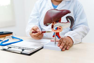 How Primary Care Doctors Help Detect Early Signs of Liver Disease