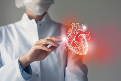 Understanding the Risk Factors for Heart Disease