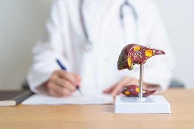 What Is Liver Disease and How Can a Primary Care Doctor Help?